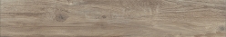 Напольная плитка EPHEDRA HONEY NATURALE 20x120